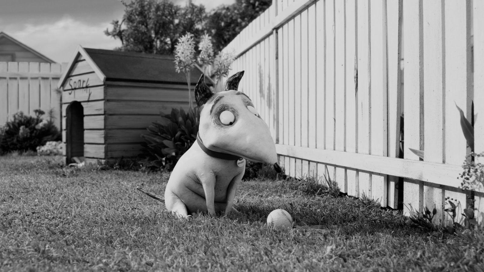 Frankenweenie at 2048 x 2048 iPad size wallpapers HD quality