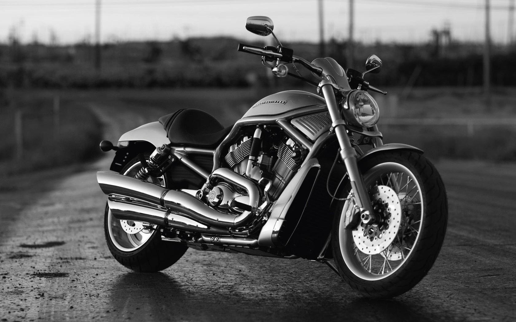 Harley-Davidson V-Rod at 640 x 1136 iPhone 5 size wallpapers HD quality