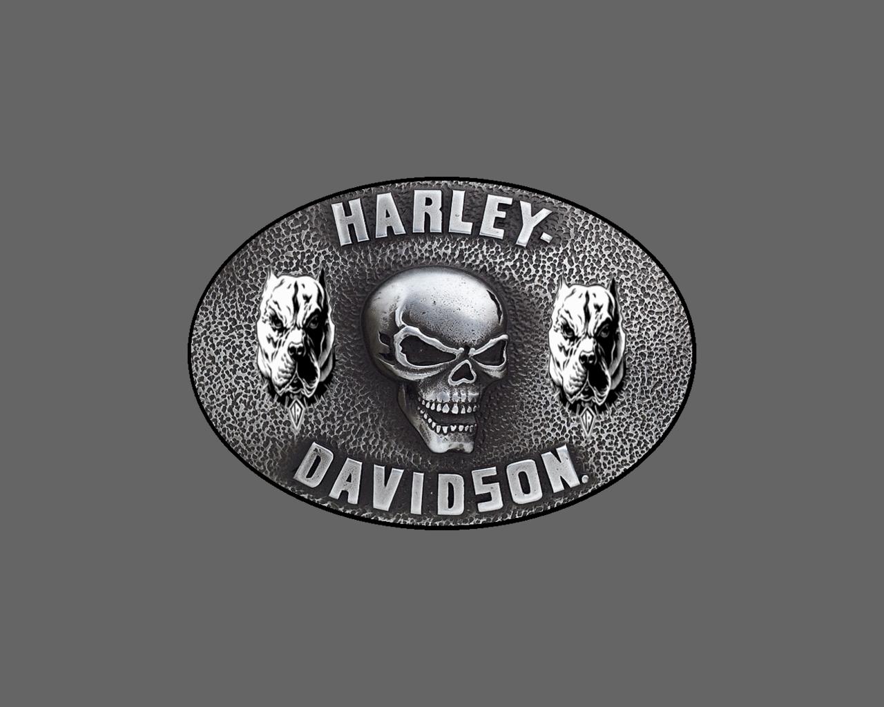 Harley Davidson at 1024 x 1024 iPad size wallpapers HD quality