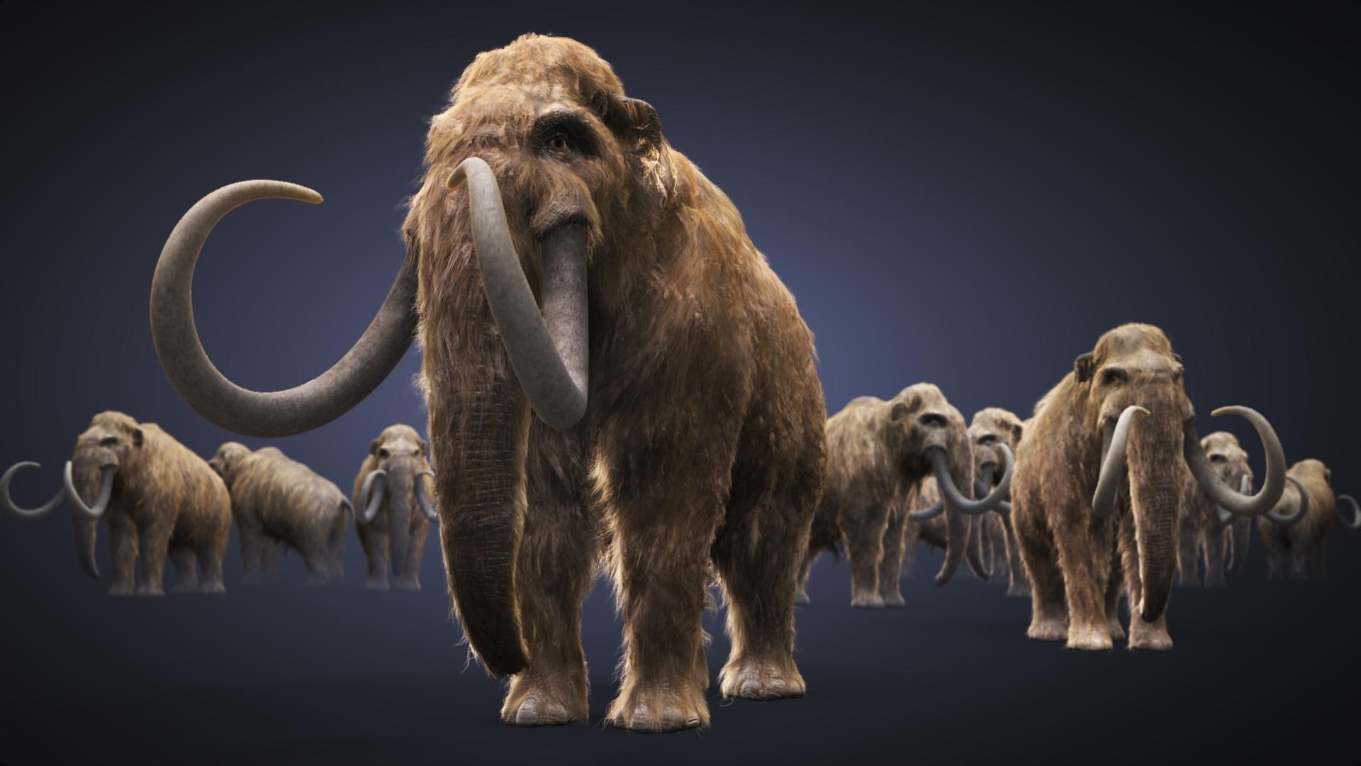 Mammoth at 1024 x 768 size wallpapers HD quality