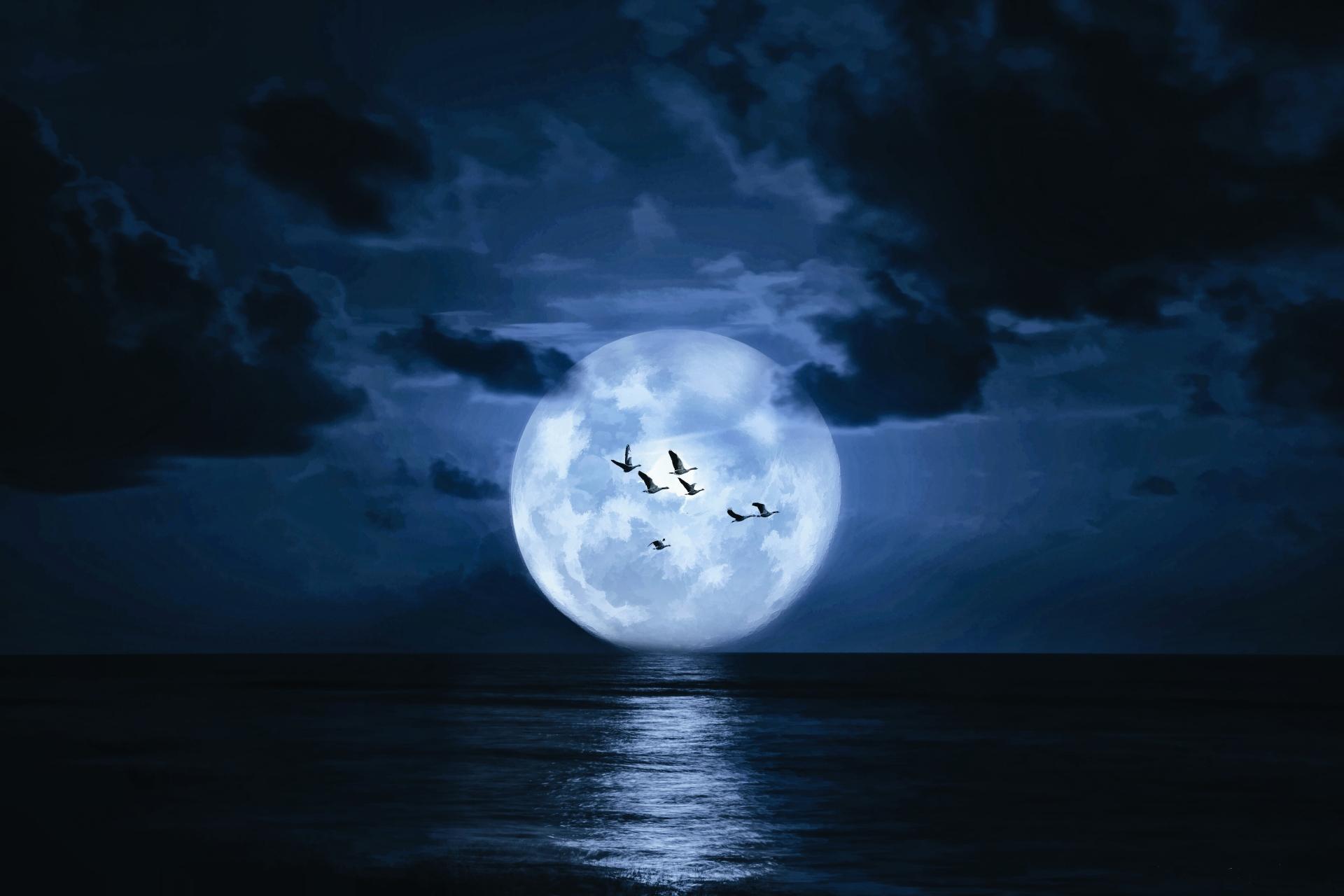 Moon Fantasy at 640 x 1136 iPhone 5 size wallpapers HD quality