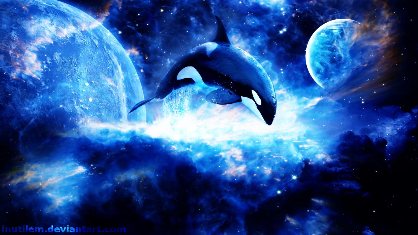 Orca wallpapers HD quality