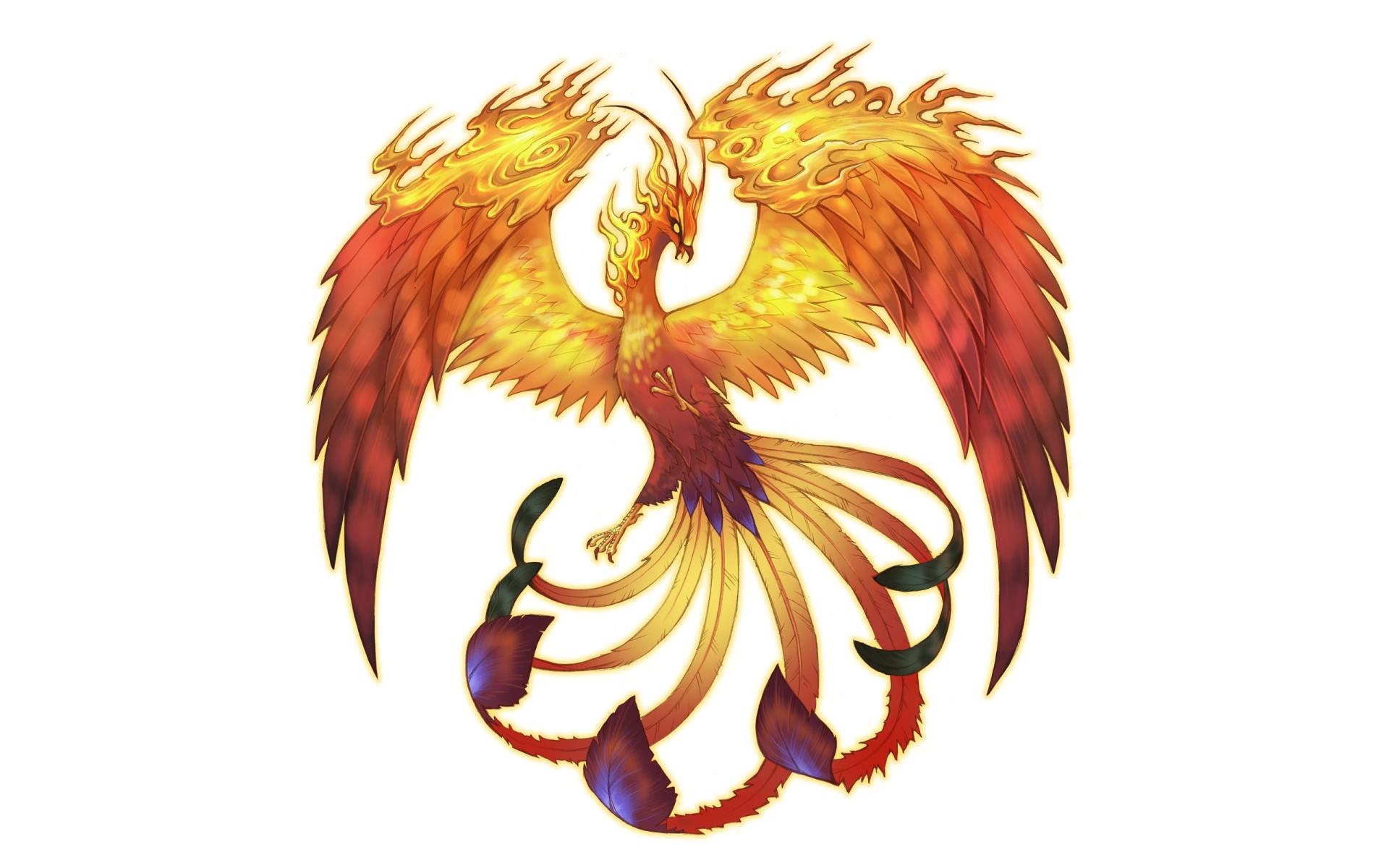 Phoenix at 750 x 1334 iPhone 6 size wallpapers HD quality