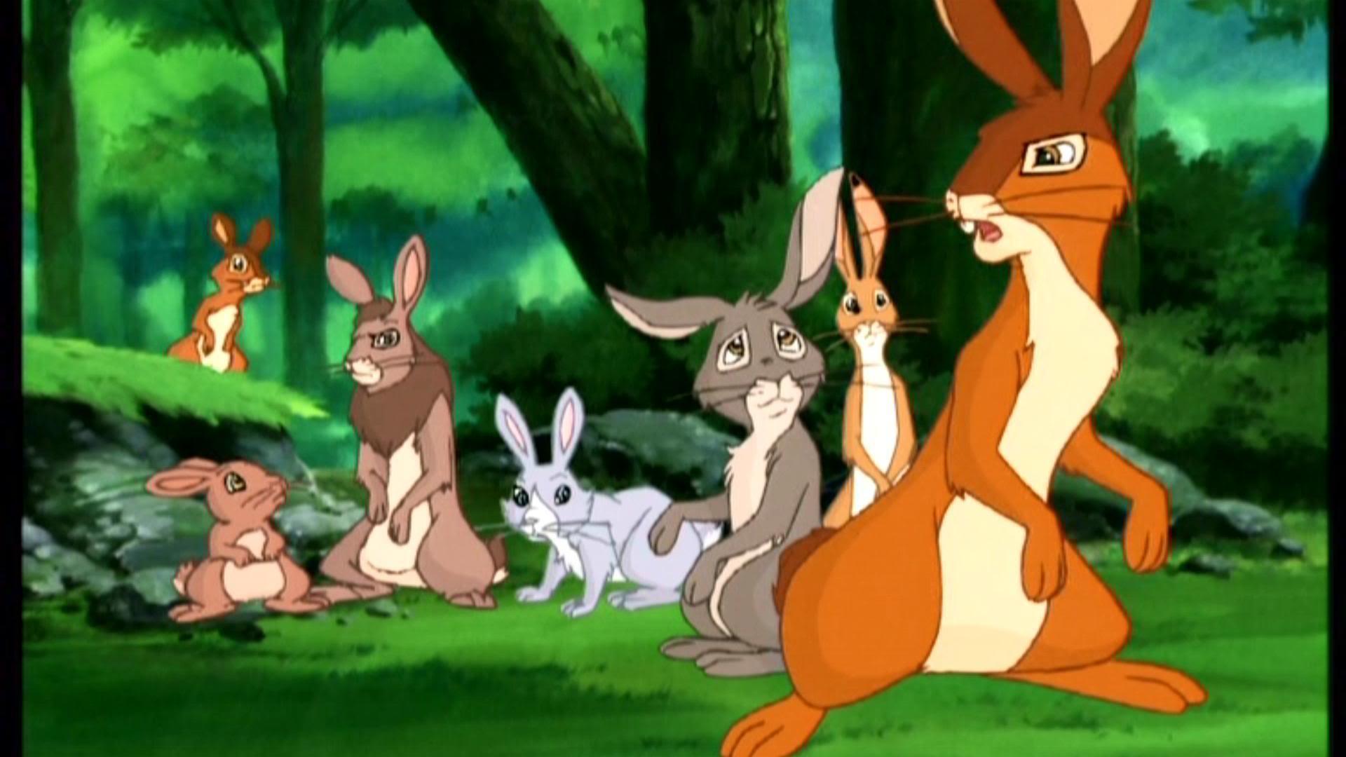 Watership Down at 1280 x 960 size wallpapers HD quality