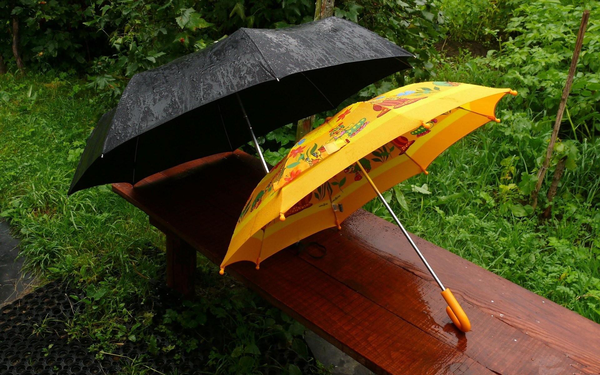 Зонтики на лавке под дождем скачать