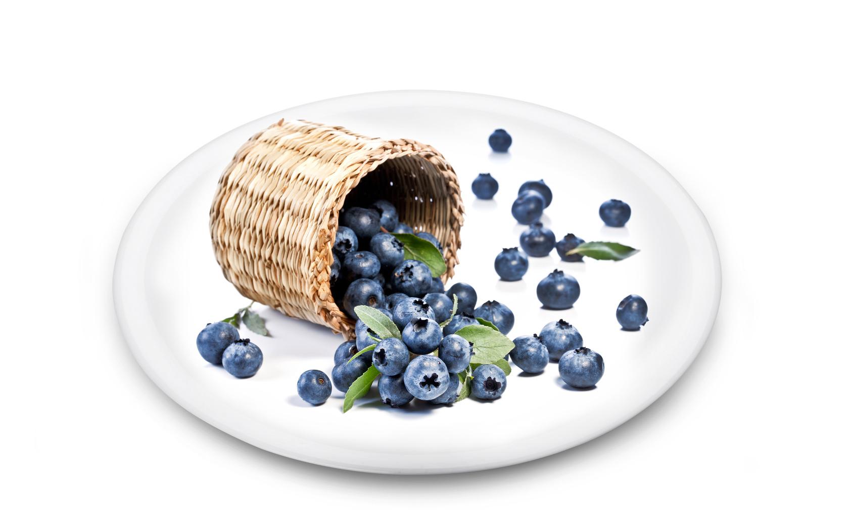 голубика ягоды тарелка blueberries berries plate скачать