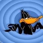 Daffy Duck photo