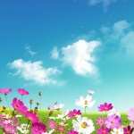 Spring Artistic wallpapers for desktop