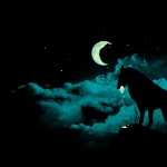 Wolf Fantasy PC wallpapers