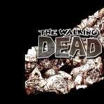 The Walking Dead hd desktop