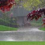 Rain Photography free download
