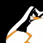 Daffy Duck high definition wallpapers