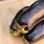 Eggplant free
