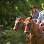 The Longest Ride free download