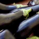 Eggplant widescreen