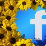 Facebook high definition wallpapers
