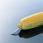 Corn download