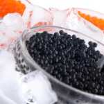 Caviar free download
