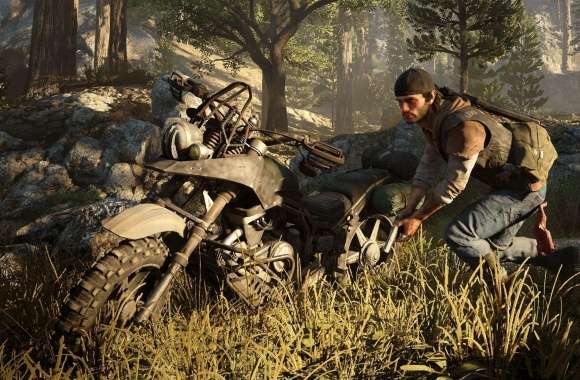 Days Gone wallpapers hd quality