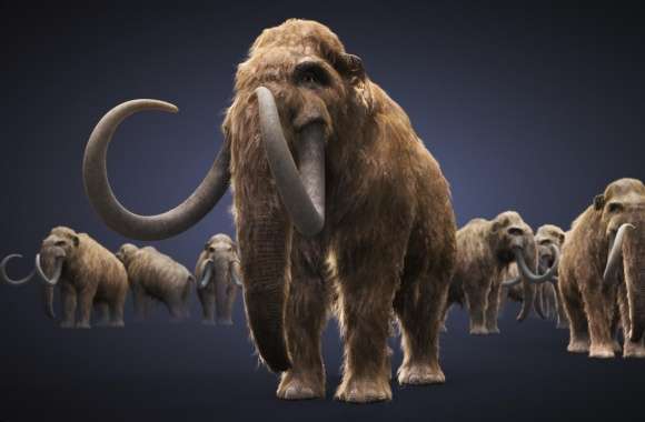 Mammoth wallpapers hd quality