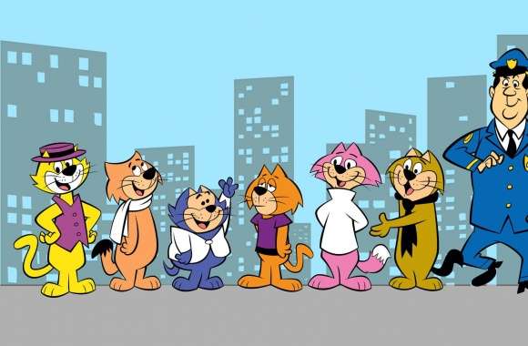Top Cat wallpapers hd quality