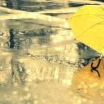 Umbrella Photography high quality wallpapers