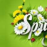 Spring Artistic wallpapers