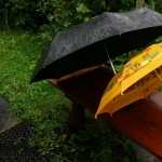 Umbrella Photography download