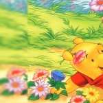Winnie The Pooh background