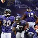 Baltimore Ravens hd