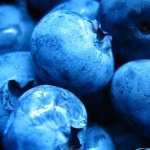 Blueberry pic