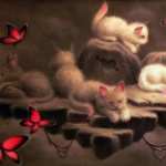 Cat Fantasy high quality wallpapers