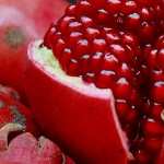 Pomegranate free wallpapers