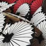 Umbrella Photography wallpapers for desktop