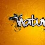 Artistic Animal high definition wallpapers