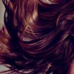 Hair Women high quality wallpapers
