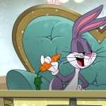 Looney Tunes 2017