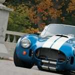Cobra high definition wallpapers