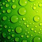 Green Abstract new wallpapers