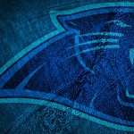 Carolina Panthers hd desktop