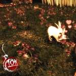 Shadow Warrior free wallpapers