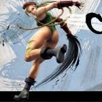 Super Street Fighter IV PC wallpapers