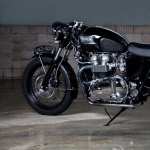 Triumph Bonneville free