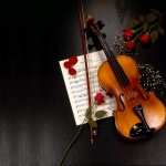 Violin images