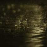 Rain Photography image