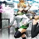 Highschool Of The Dead free wallpapers
