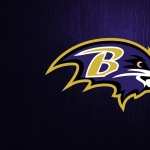Baltimore Ravens photo