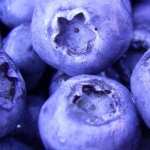 Blueberry hd desktop