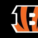 Cincinnati Bengals images