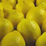 Lemon 1080p